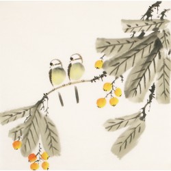 Other Birds - CNAG006147