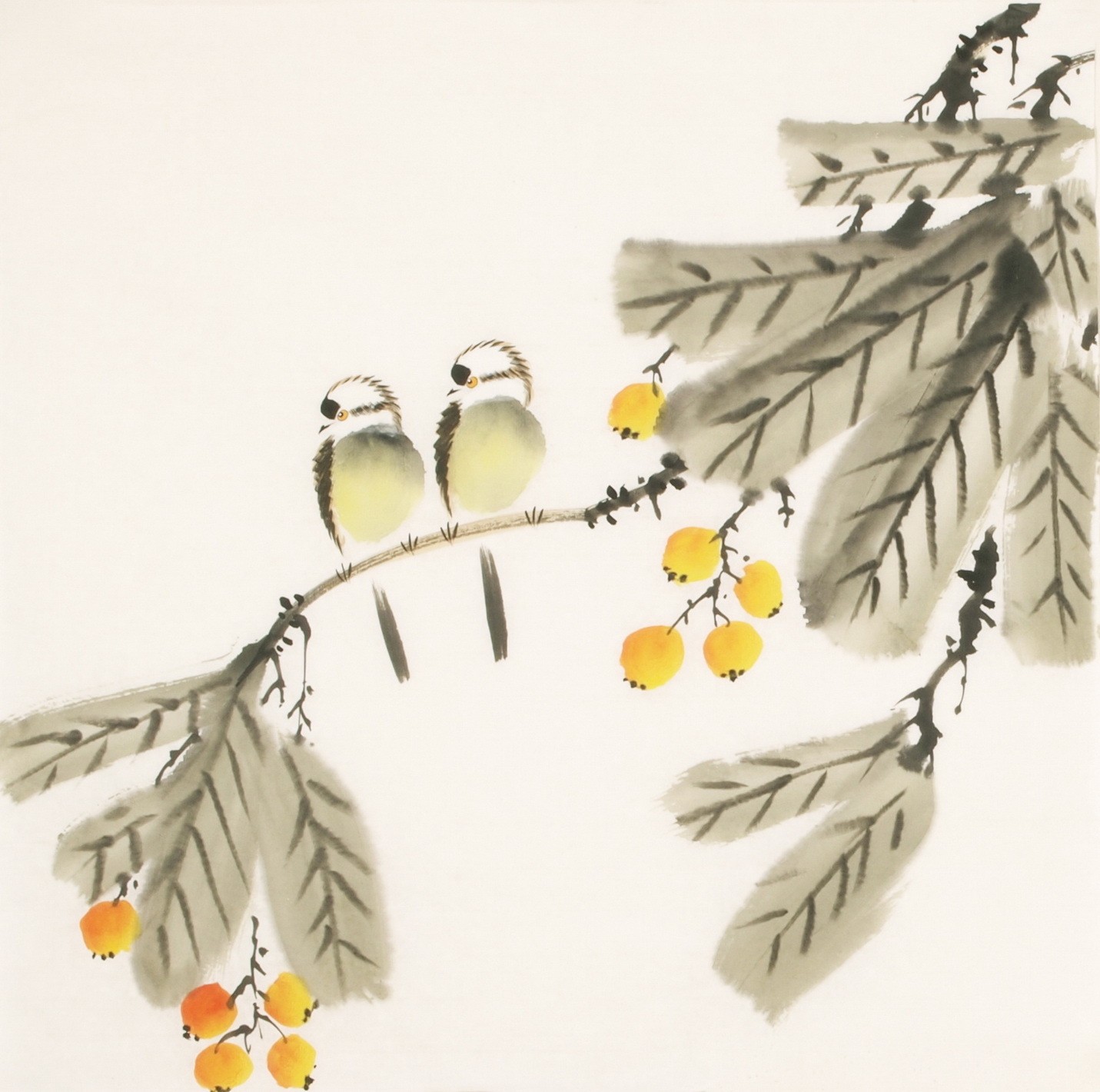 Other Birds - CNAG006147