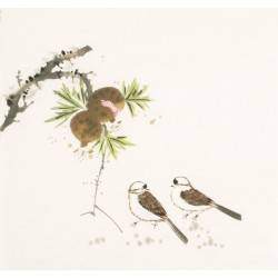 Other Birds - CNAG006148