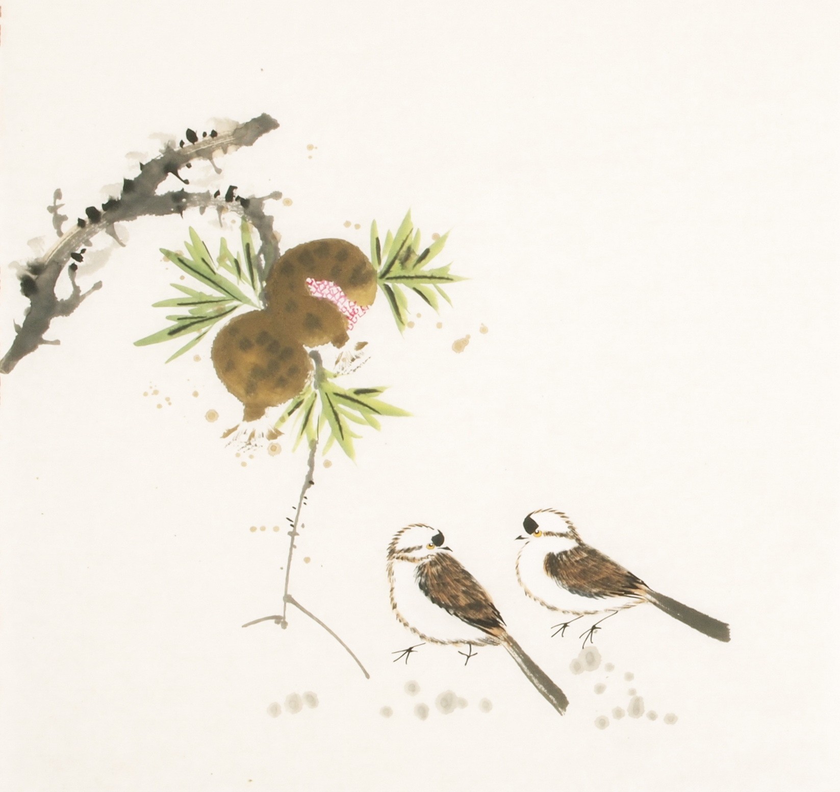 Other Birds - CNAG006148