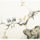 Other Birds - CNAG006150