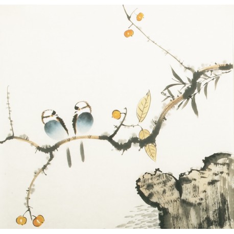 Other Birds - CNAG006150