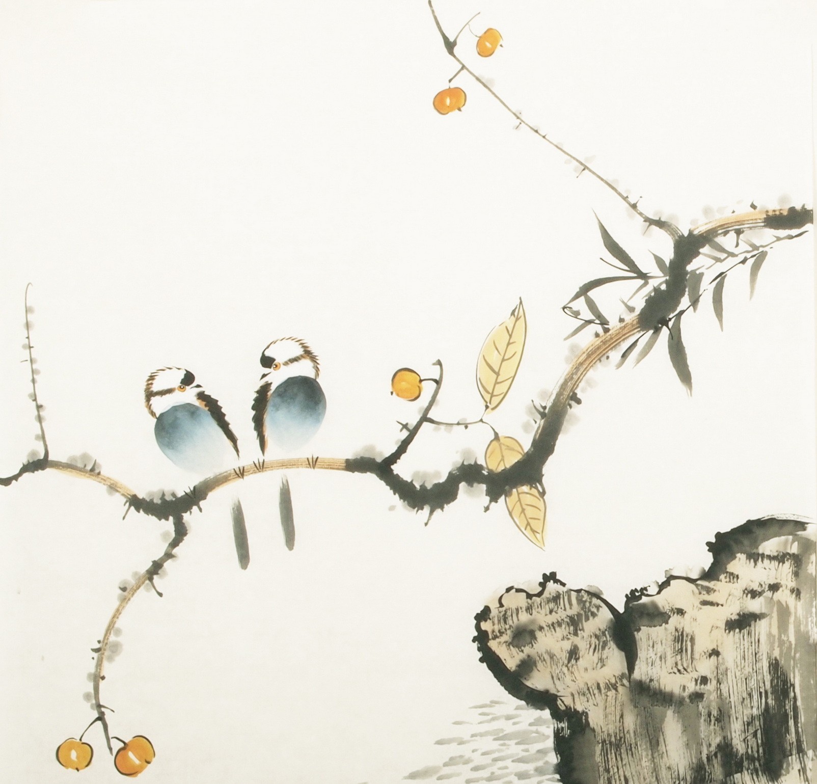 Other Birds - CNAG006150