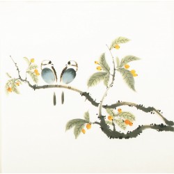 Other Birds - CNAG006154