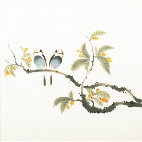 Other Birds - CNAG006154