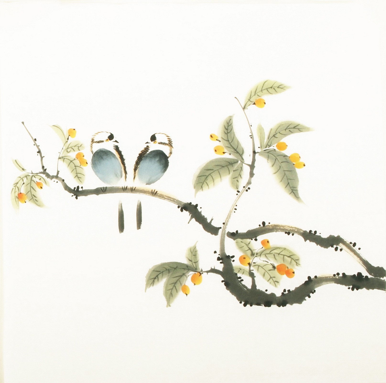 Other Birds - CNAG006154