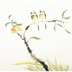 Other Birds - CNAG006155