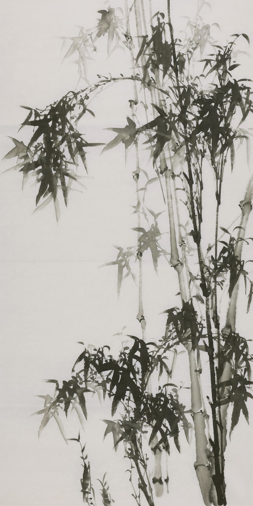Ink Bamboo - CNAG000616