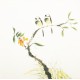 Other Birds - CNAG006156