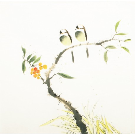 Other Birds - CNAG006156