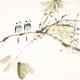 Other Birds - CNAG006157