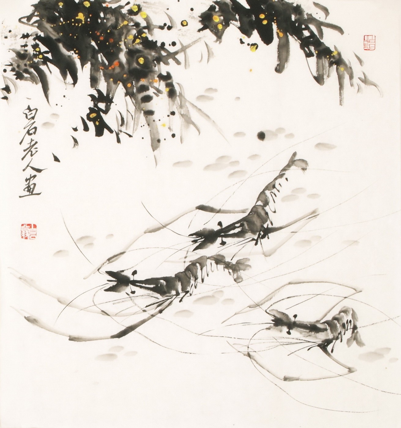 Shrimp - CNAG006158