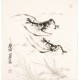 Shrimp - CNAG006160