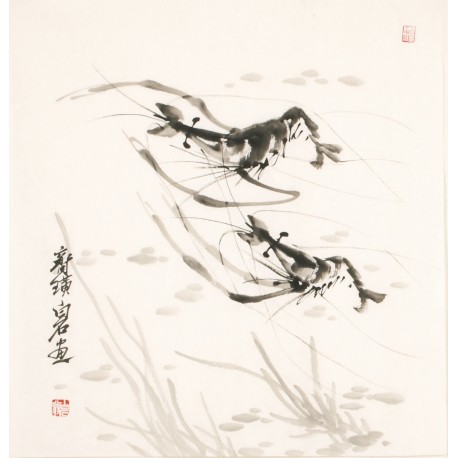 Shrimp - CNAG006160