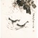Shrimp - CNAG006162