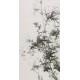 Ink Bamboo - CNAG000617