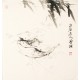 Shrimp - CNAG006167