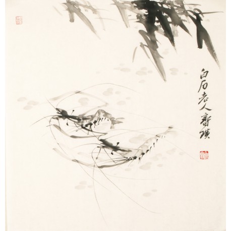 Shrimp - CNAG006167