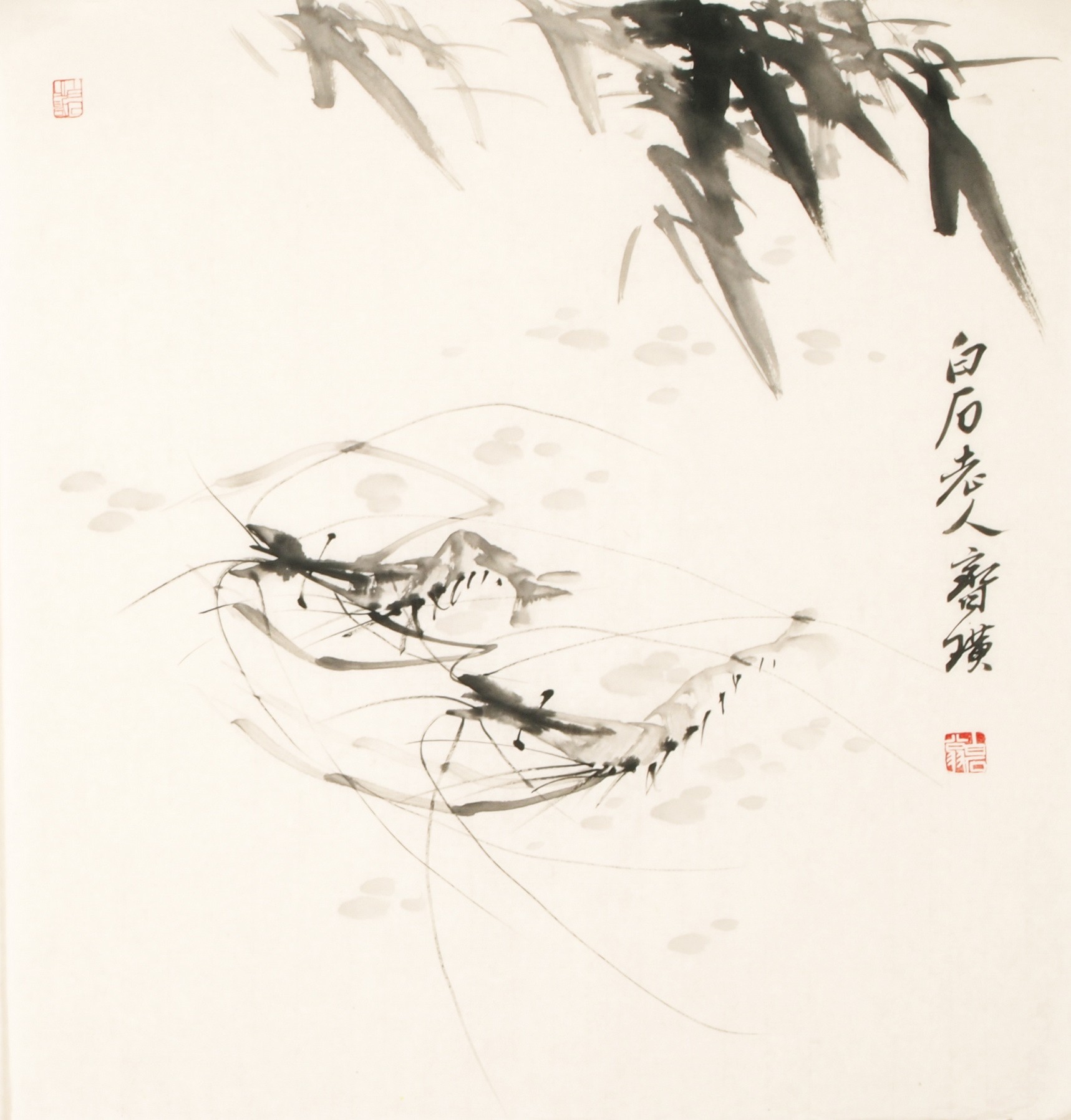 Shrimp - CNAG006167