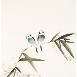 Other Birds - CNAG006170