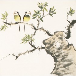 Other Birds - CNAG006171