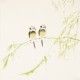 Other Birds - CNAG006172