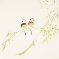 Other Birds - CNAG006172