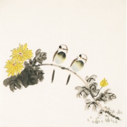 Other Birds - CNAG006173