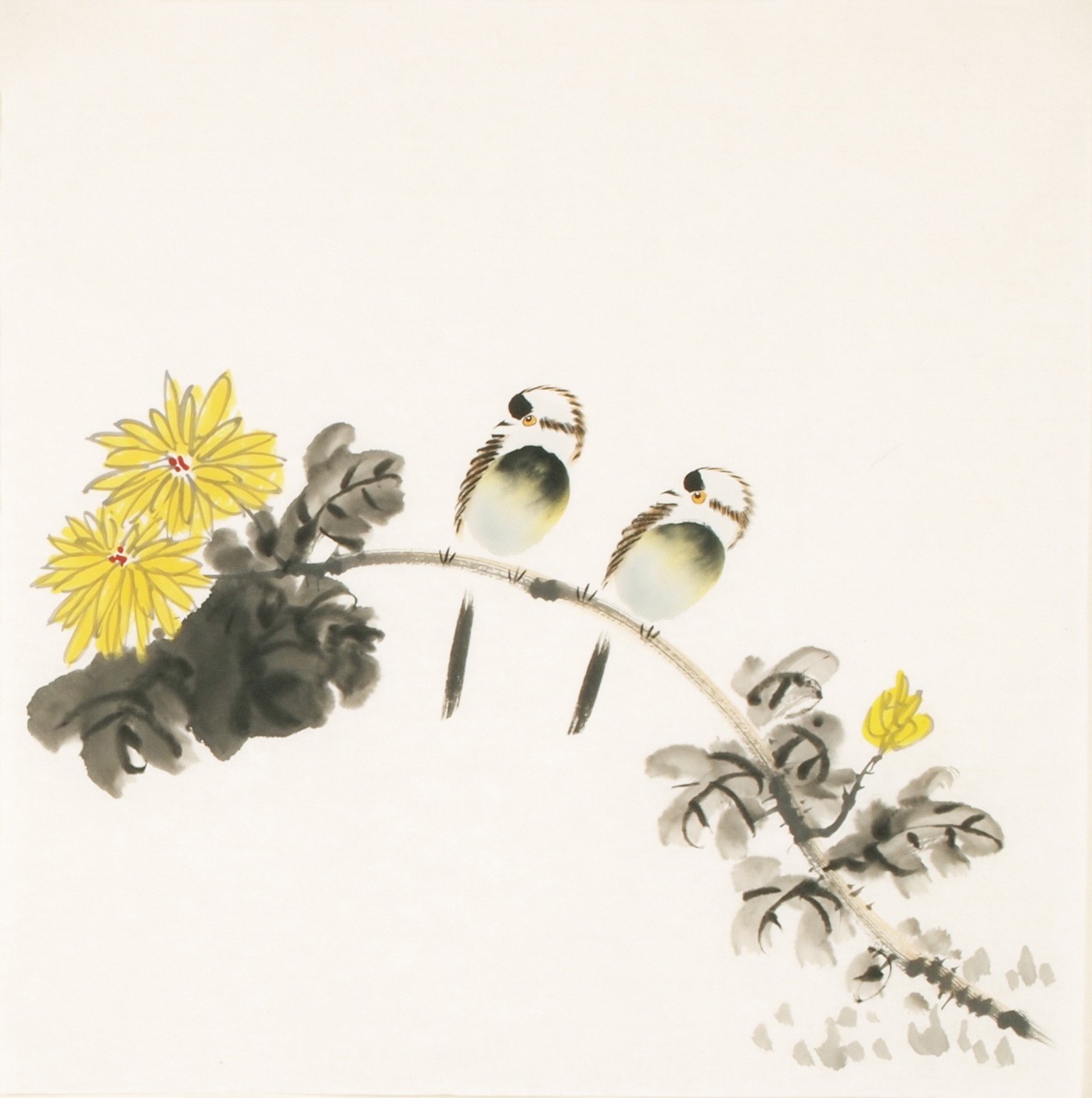Other Birds - CNAG006173