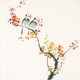 Other Birds - CNAG006176