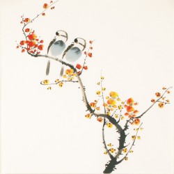 Other Birds - CNAG006176