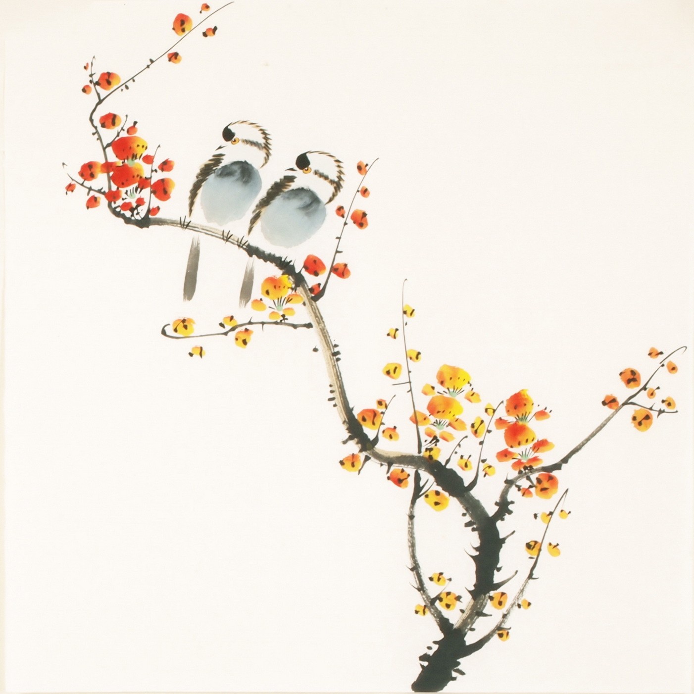 Other Birds - CNAG006176