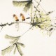 Other Birds - CNAG006178
