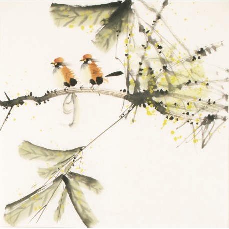 Other Birds - CNAG006178