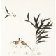 Other Birds - CNAG006179