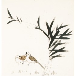 Other Birds - CNAG006179