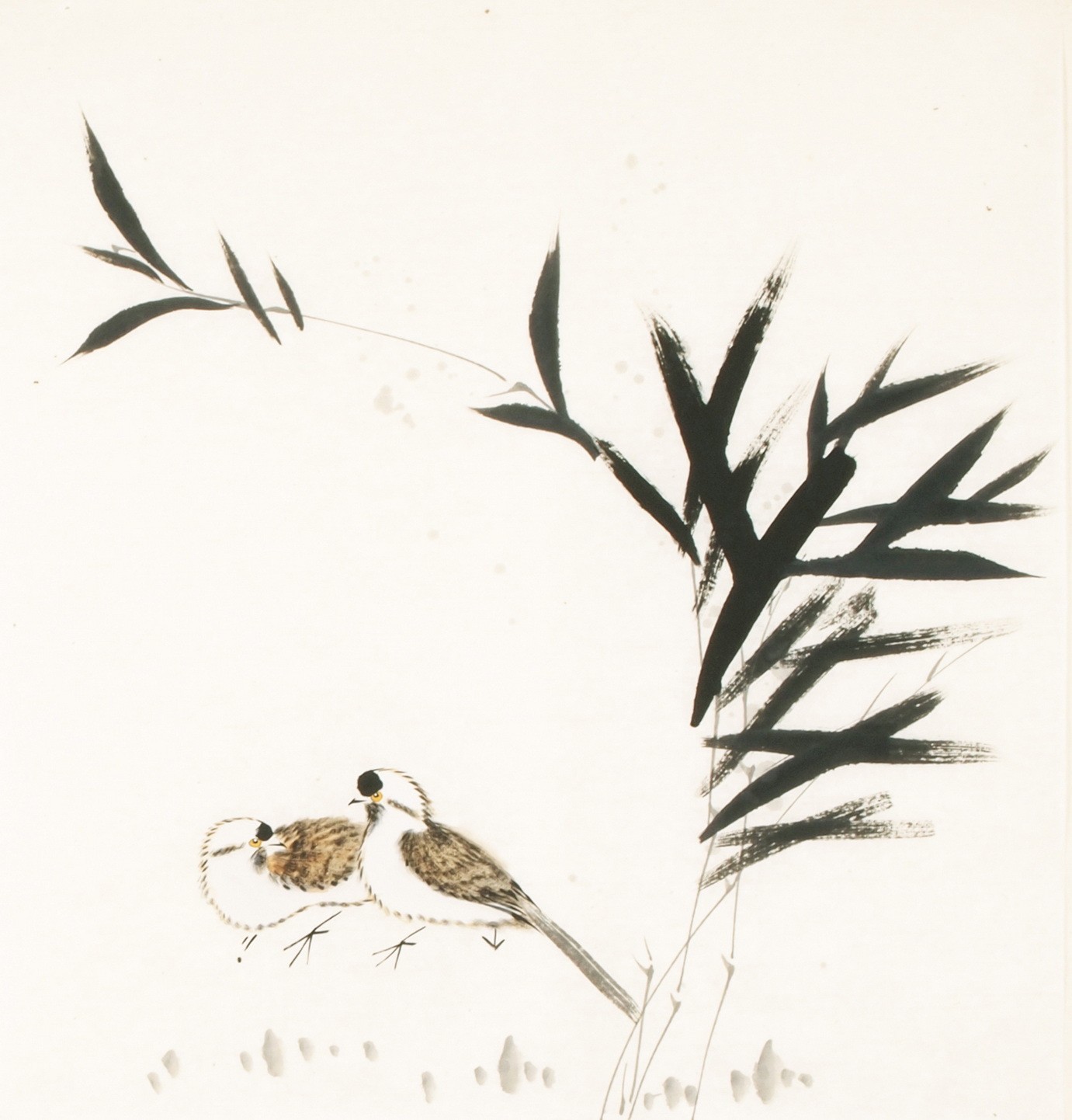 Other Birds - CNAG006179