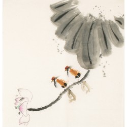 Other Birds - CNAG006180
