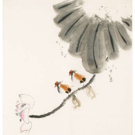 Other Birds - CNAG006180