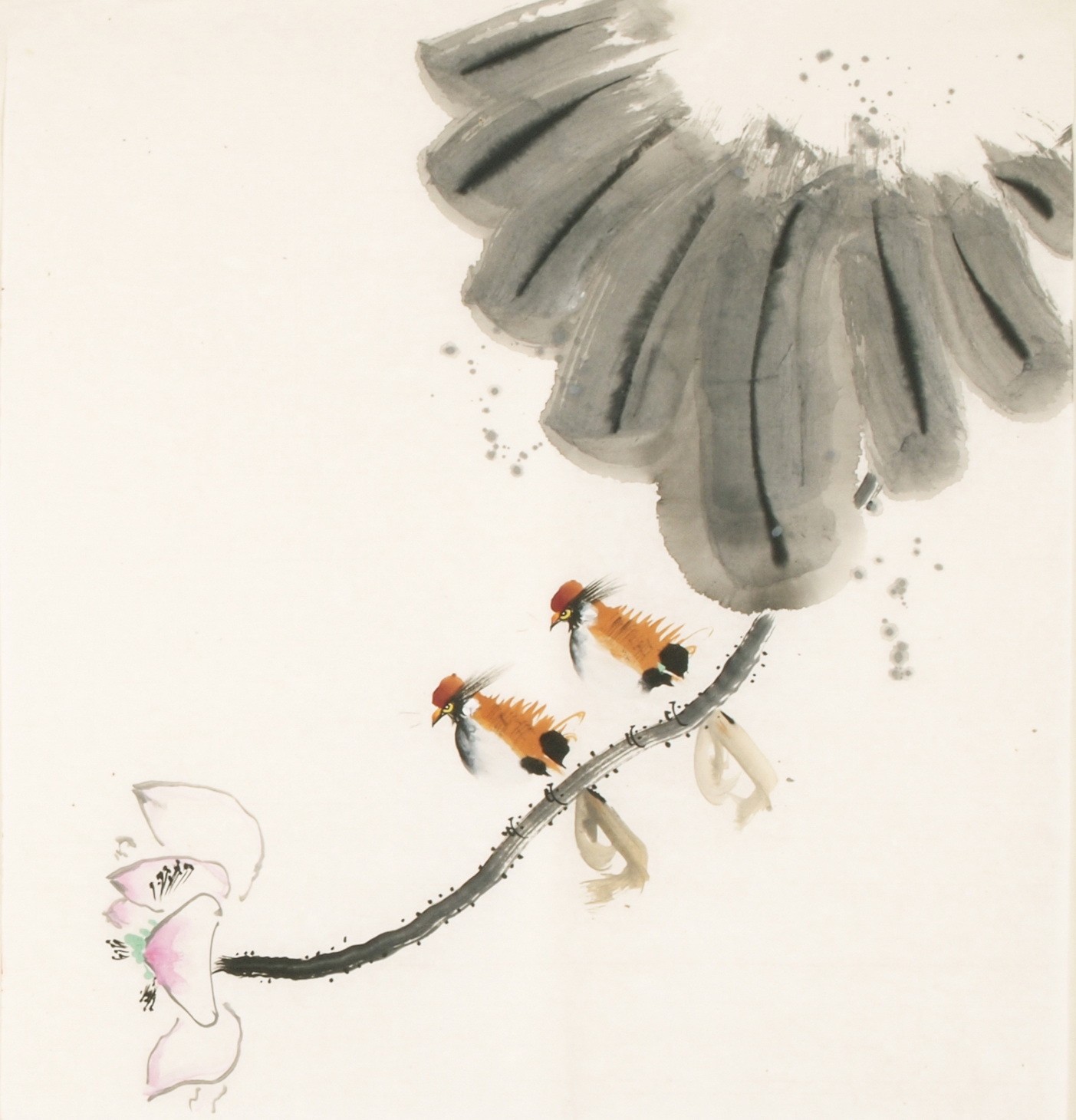 Other Birds - CNAG006180