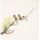 Other Birds - CNAG006181