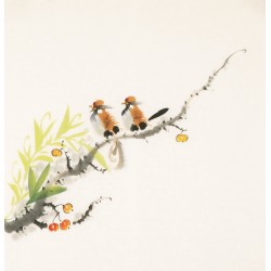 Other Birds - CNAG006181