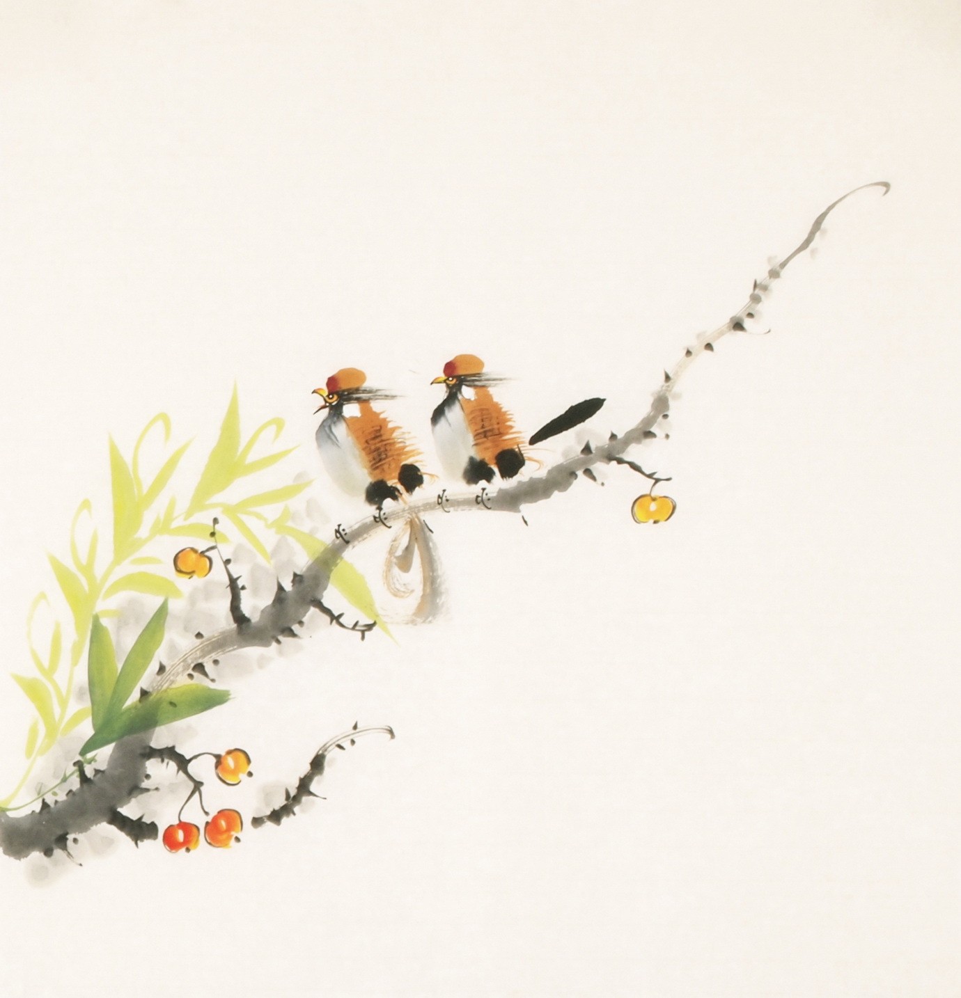 Other Birds - CNAG006181