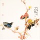 Other Birds - CNAG006183