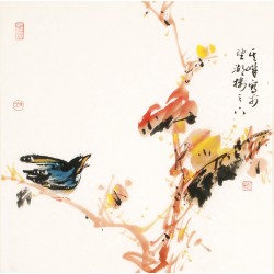 Other Birds - CNAG006183