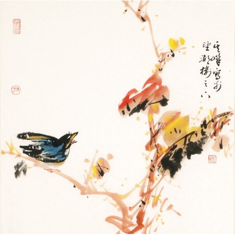 Other Birds - CNAG006183