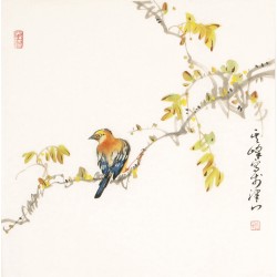 Other Birds - CNAG006186