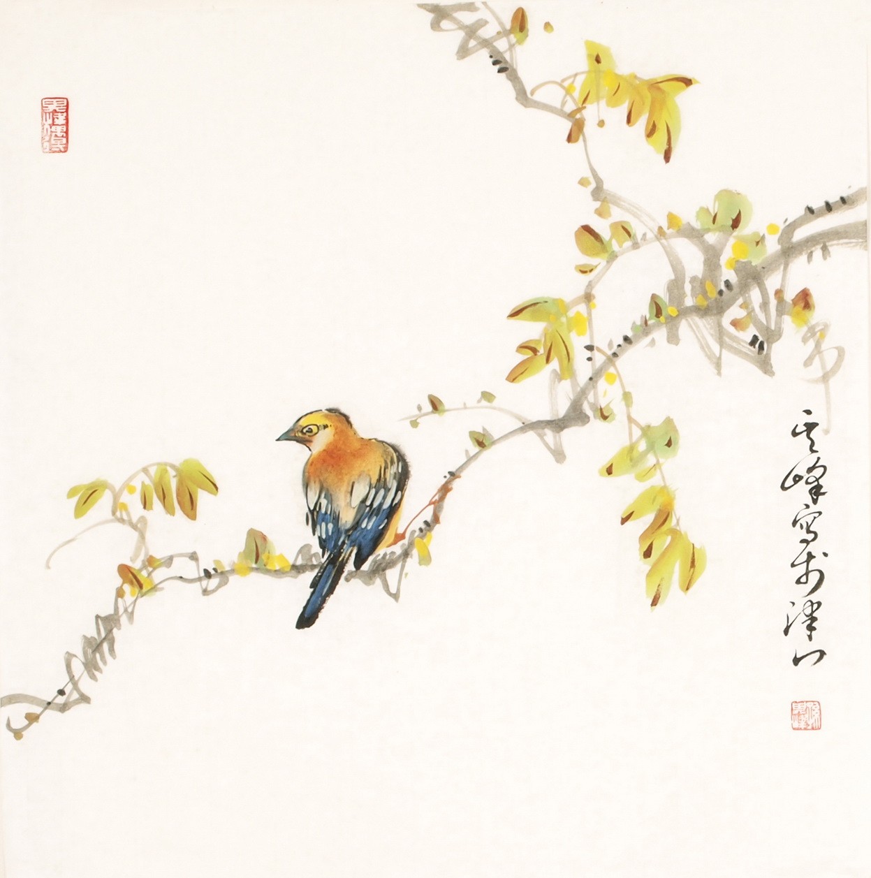 Other Birds - CNAG006186