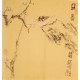 Plum - CNAG006195