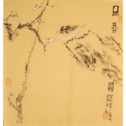 Plum - CNAG006195